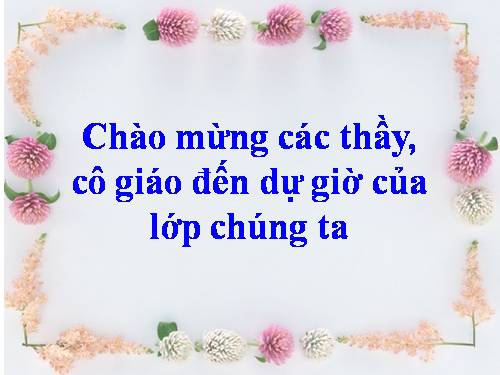 Bài 47. Thực vật bảo vệ đất và nguồn nước