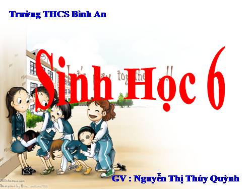 Bài 22. Ảnh hưởng của các điều kiện bên ngoài đến quang hợp, ý nghĩa của quang hợp