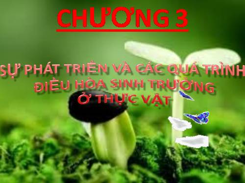 Bài 44. Sự phát triển của giới Thực vật