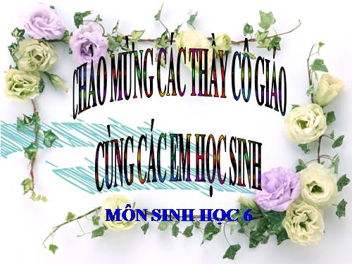 Bài 17. Vận chuyển các chất trong thân