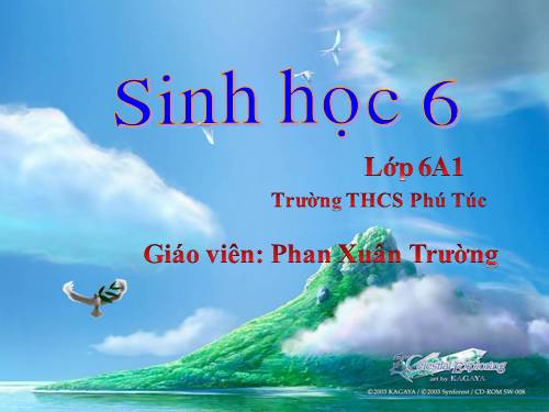 Bài 41. Hạt kín - Đặc điểm của thực vật Hạt kín