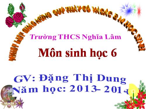 Bài 48. Vai trò của thực vật đối với động vật và đối với đời sống con người