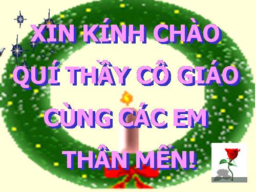 Bài 15. Cấu tạo trong của thân non