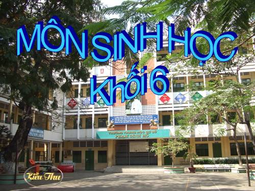 Bài 46. Thực vật góp phần điều hoà khí hậu