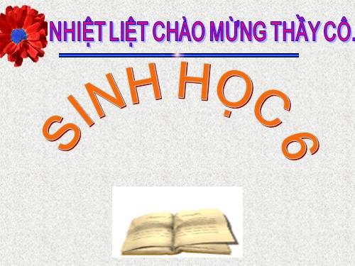 Bài 48. Vai trò của thực vật đối với động vật và đối với đời sống con người