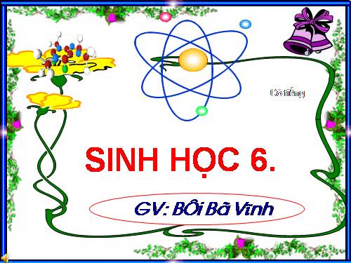 Bài 27. Sinh sản sinh dưỡng do người