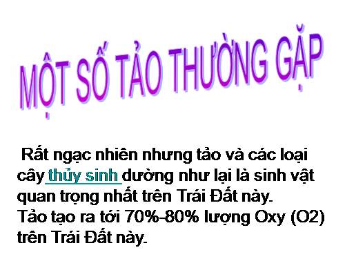 Bài 37. Tảo