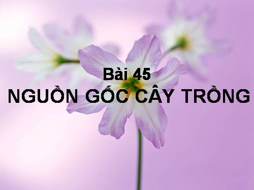 Bài 45. Nguồn gốc cây trồng