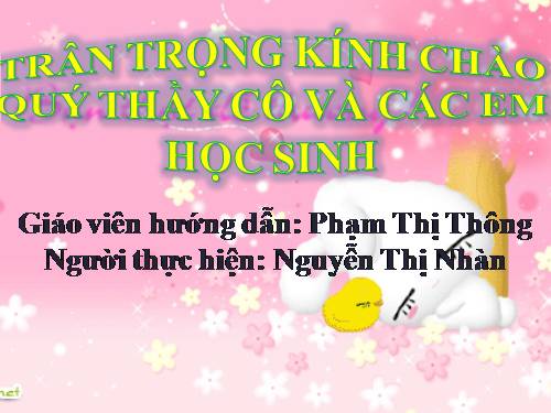 Bài 43. Khái niệm sơ lược về phân loại thực vật