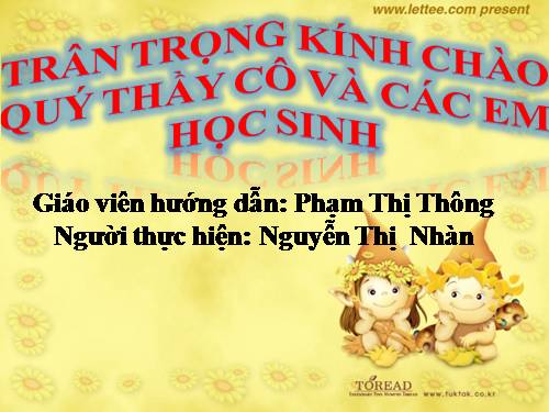 Bài 40. Hạt trần - Cây thông