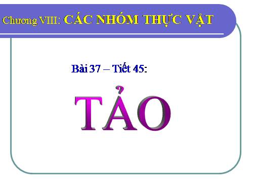 Bài 37. Tảo