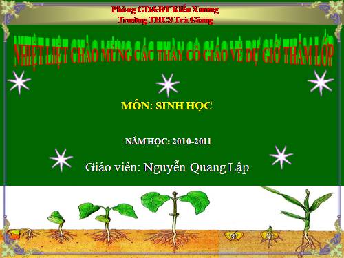 Bài 42. Lớp Hai lá mầm và lớp Một lá mầm