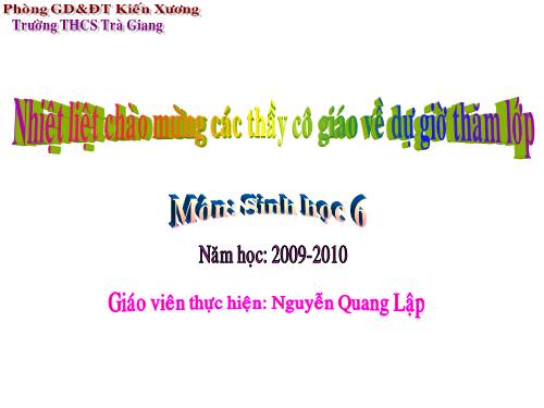 Bài 48. Vai trò của thực vật đối với động vật và đối với đời sống con người