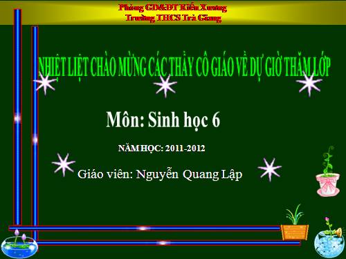 Bài 18. Biến dạng của thân