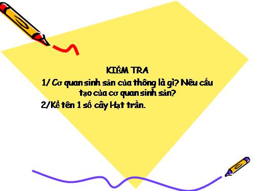 Bài 41. Hạt kín - Đặc điểm của thực vật Hạt kín