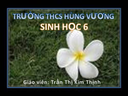 Bài 33. Hạt và các bộ phận của hạt