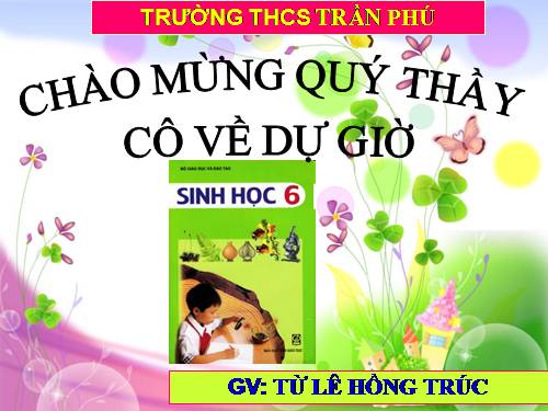 Bài 13. Cấu tạo ngoài của thân