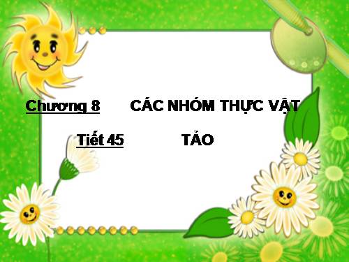 Bài 37. Tảo