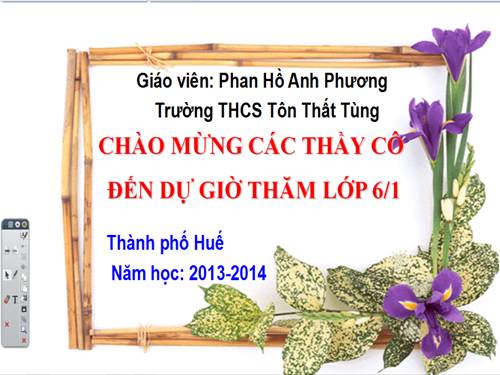 Tiết 47 Dương xỉ ( dạy bảng tương tác có giải)