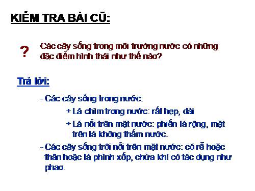 Bài 37. Tảo