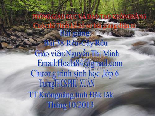 Bài 38. Rêu - Cây rêu
