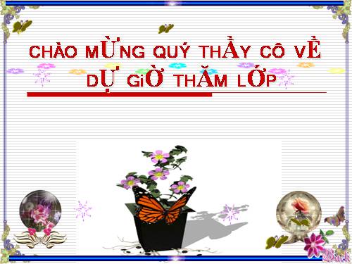 Bài 13. Cấu tạo ngoài của thân