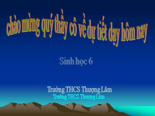 Bài 37. Tảo