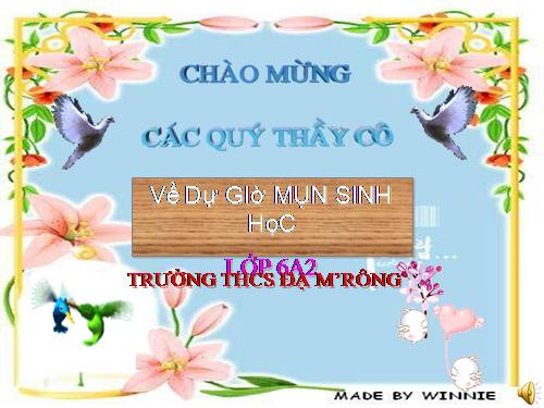 Bài 38. Rêu - Cây rêu