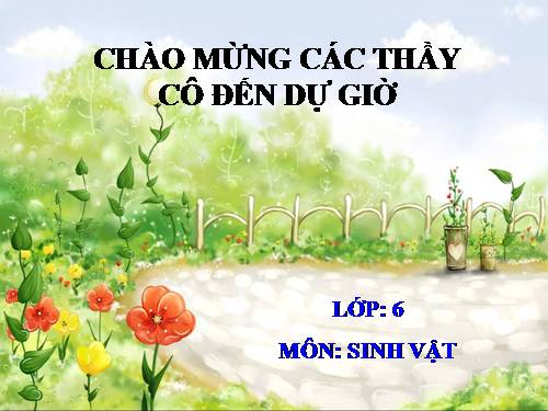 Bài 42. Lớp Hai lá mầm và lớp Một lá mầm