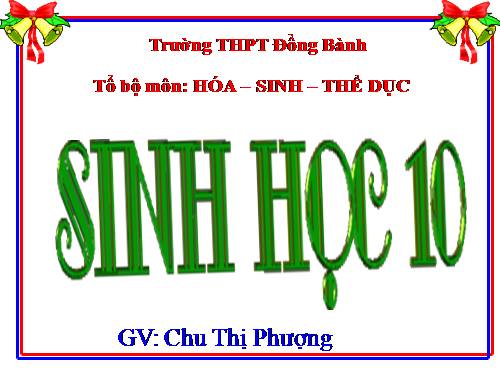 Bài 21. Quang hợp