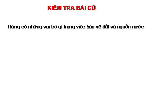 Bài 48. Vai trò của thực vật đối với động vật và đối với đời sống con người