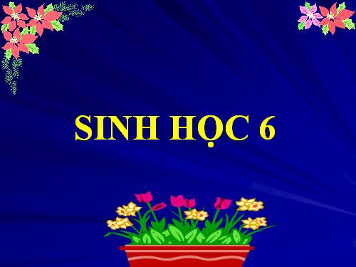 Bài 27. Sinh sản sinh dưỡng do người