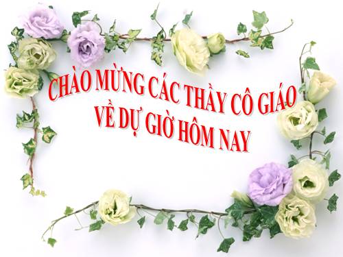 Bài 10. Cấu tạo miền hút của rễ