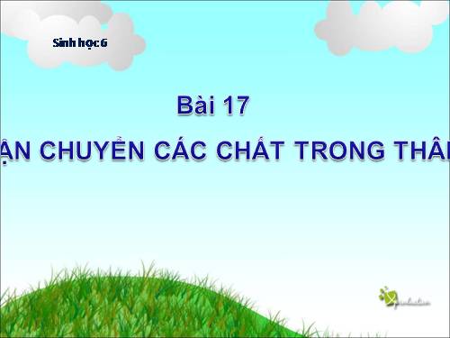 Bài 17. Vận chuyển các chất trong thân