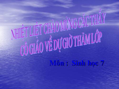 Bài 39. Quyết - Cây dương xỉ