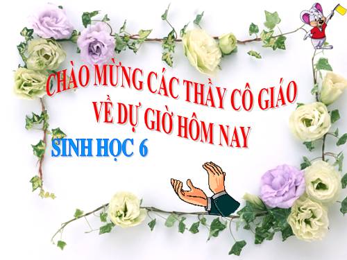 Bài 36. Tổng kết về cây có hoa