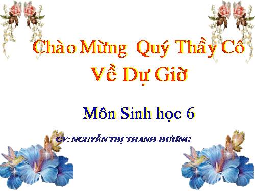 Bài 28. Cấu tạo và chức năng của hoa