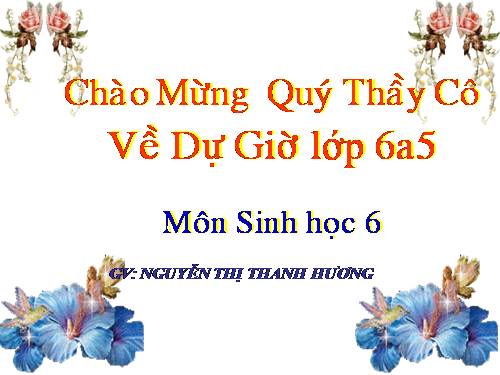 Bài 32. Các loại quả