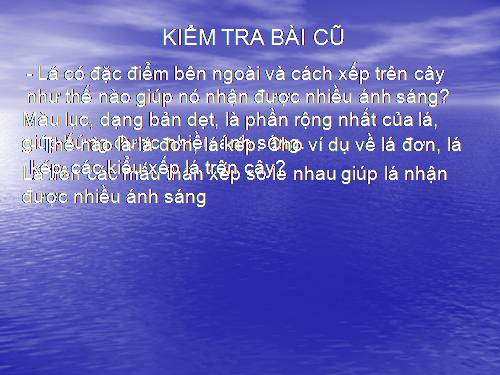 Bài 20. Cấu tạo trong của phiến lá