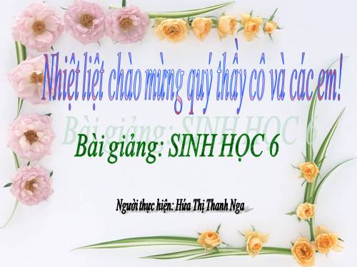 Bài 21. Quang hợp