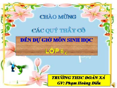 Bài 27. Sinh sản sinh dưỡng do người