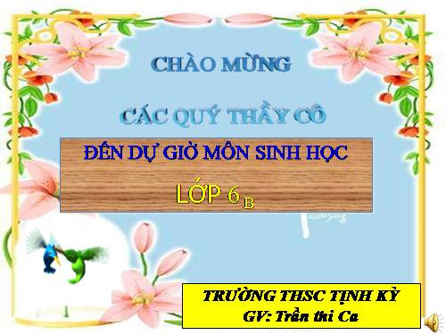 Bài 26. Sinh sản sinh dưỡng tự nhiên