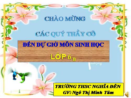 Bài 27. Sinh sản sinh dưỡng do người