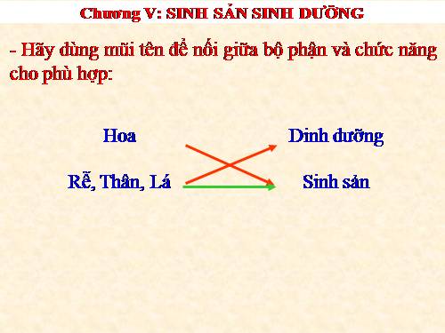 Bài 26. Sinh sản sinh dưỡng tự nhiên