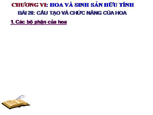 Bài 28. Cấu tạo và chức năng của hoa