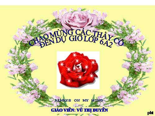 Bài 19. Đặc điểm bên ngoài của lá