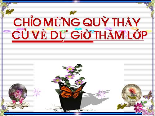 Bài 13. Cấu tạo ngoài của thân
