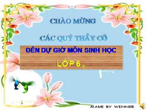 Bài 25. Biến dạng của lá