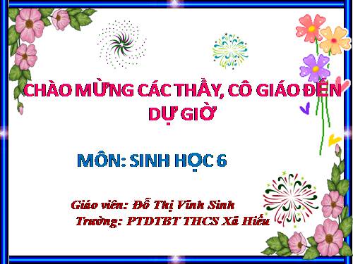 Bài 19. Đặc điểm bên ngoài của lá