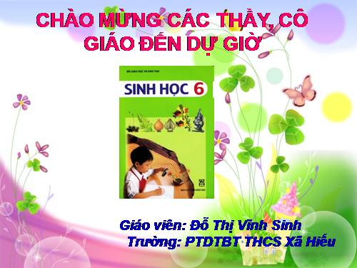 Bài 21. Quang hợp